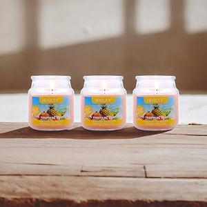 hosley apple cinnamon fragrance jar candle pack of 3 265 oz waxfragrance candles for homescented candlesjar candlesburn time 15 hoursfragrance candlehome decoration soy blend wax