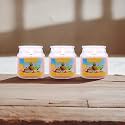 HOSLEY Apple Cinnamon Fragrance Jar Candle Pack of 3 (2.65 Oz Wax)|Fragrance Candles for Home|Scented Candles|Jar Candles|Burn Time 15 Hours|Fragrance Candle|Home Decoration (Soy Blend Wax)
