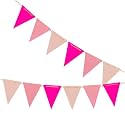 Hot Pink,Pink and Light Pink Pennant Banner,Hot Pink,Pink and Light Pink Vintage Double Sided Triangle Flag，for Party Decoration,Pack of 30pcs Triangle Flag