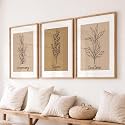 HOTHOUSE Botanical Wall Art Painting |Poster With Frame Wall Decoration Wall Paintings For Home Décor | Frames For Home Décor Office Living Room | Set of 3 (14X20 inch)