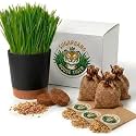 House Tiger Cat Grass Gift Set - Complete All-in-One Kit with Self-Watering Stay Fresh Pot & 3-Pack Refill | Includes Premium Cat Grass Seed, Coco Coir Soil Discs | Aids Digestion & Hairball Control