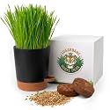 House Tiger Cat Grass Kit | Aids Digestion, Hairball Control &amp; Oral Health | The Complete Kit Includes Nutrient-Rich Cat Grass Seed, Self-Watering Stay Fresh Pot &amp; Eco Friendy Coco Coir Soil Discs