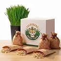 House Tiger Cat Grass Refill 3 Pack | Aids Digestion, Hairball Control &amp; Oral Health for Indoor Pets | Includes 3 Plantings of Premium Cat Seed, Watering Wicks &amp; Eco Friendy Coco Coir Soil Discs