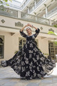 HouseOfCommon Flared/A-line Gown