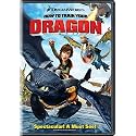 How to Train Your Dragon