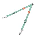 HOWGO Double Dog Leash,Tangle-Free 360 Swivel(MintGreen, Std M-L Splitter)