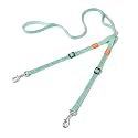 HOWGO Double Dog Leash,Tangle-Free 360 Swivel(MintGreen, Pro M-L w.Handle)