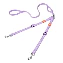 HOWGO Double Dog Leash,Tangle-Free 360 Swivel(Lavender, Std M-L w.Handle)