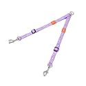 HOWGO Double Dog Leash,Tangle-Free 360 Swivel(Lavender, Pro M-L Splitter)
