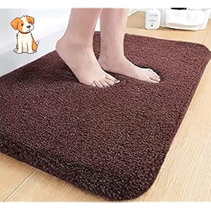 HOWNICE Door Mat for HomeBedroomBathroomKitchenLiving RoomEntranceRoom MatsFoot