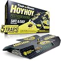 HOY HOY Trap A Roach - Bait Glue Traps, Great for Home with Kids &amp; Pets Indoor, Sticky Pest Control Trap, Roach Killer, Made in Japan 5 Traps