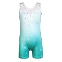 HOZIY Leotards for Girls Gymnastics Kids Children Biketard Snowflake Ribbon Blue Purple Hot Pink Sparkle