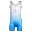 HOZIY Leotards for Girls Gymnastics Kids Children Biketard Snowflake Ribbon Blue Purple Hot Pink Sparkle