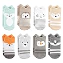 Hudson Baby Baby 8-pack Cotton Rich Newborn and Terry Socks
