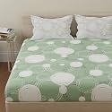 HUESLAND by Ahmedabad Cotton 144 TC King Size Bed Sheets Cotton with 2 Pillow Covers | Sphere | 108 x 108 inches | Green &amp; Off White