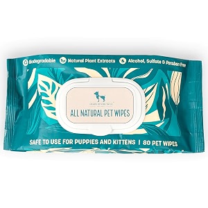 huft biodegradable pet wipes  80 wipes  gentle cleaning wipes for dogs amp cats  alcohol-free amp skin-friendly  deodorizing amp hygienic  ideal for daily use travel amp quick grooming