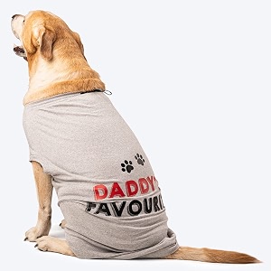 HUFT Twinning - Daddys Favourite T-Shirt for