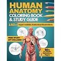 Human Anatomy Coloring Book and Study Guide: 150+ Hyper-Realistic Anatomical Illustrations, 50+ In-depth Anatomy and Physiology Study Guide Pages, and ... Medical, Nursing, and Healthcare Students.