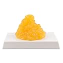 SimCoach 1 lb Human Body Fat Replica Model