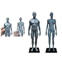 Human Body Musculoskeletal Anatomical Model for Study and Teaching (30CM4)