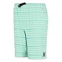 Hurley Boys H20-dri Pull on Shorts