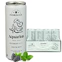 Hydrology Zodiac Water - Aquarius Blackberry Mint - Organically Flavored Social Sparkling Water with unique Vitamins and Minerals tailored to the Aquarius Zodiac Sign, Astrology Drink for Birthday Gift (12-Pack, Aquarius - Bl