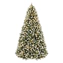 Hykolity 6 ft Prelit Artificial Christmas Tree with 250 Warm White LEDs