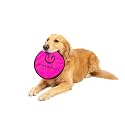 Hyper Pet Flippy Flopper Flying Disc Dog Toy 9 Inch, Floats, Colors Vary