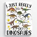 I Just Really Like Dinosaurs Blanket Gifts for Boys Girls,Dino Blanket