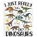 I Just Really Like Dinosaurs Personalized Blanket Custom Dinosaur Blanket