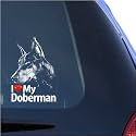 I Love My Doberman Clear Vinyl Decal Sticker for Window, Dobermann Pinscher Sign Art Print