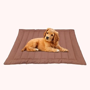 i wish quilted pet bed mattress  washable pet bed light weighted polyester dog flat mat medium 100 x 66 cm orange peach