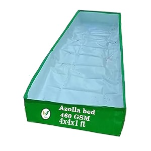 iagrifarm 460 gsm hdpe uv stabilize green 4ftx4ftx1 ft - pack of 1 - azolla bed