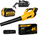 iBELL VR BB40-95 Cordless Brushless Blower 40V MAX|900W|22000RPM|700m³/hAirFlow Leaf Blower