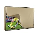 iBirdie Outdoor TV Cover 60 to 65 inch Waterproof and Weatherproof, Beige