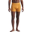icebreaker mens Merino 150 Anatomica Boxers