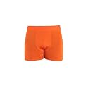 icebreaker mens Merino 150 Anatomica Boxers