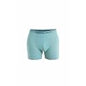 icebreaker mens Merino 150 Anatomica Boxers