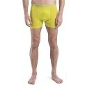 icebreaker mens Merino 150 Anatomica Boxers