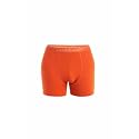 icebreaker mens Merino 150 Anatomica Boxers