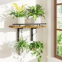 iDavosic.ly Wall Plant Holder, Floating Display Shelf Indoor, Brown
