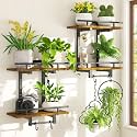iDavosic.ly Wall Plant Holder Set of 2, 2 Tier Indoor Display Shelf, Brown