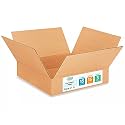 IDL Packaging Flat Corrugated Shipping Boxes 15"L x 15"W x 3"H (Pack of 5) - Quality Choice of Sturdy Packing Boxes for USPS, UPS, FedEx Shipping - Easy-to-Recycle Cardboard Boxes for Packaging