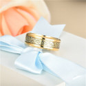 IGA COLLECTION Stainless Steel Titanium Plated Ring