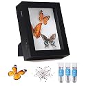 IHEIPYE Insect Display Case Bug Display Case Shadow Box Small Black