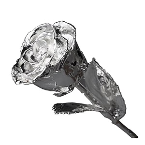 silver rose 18 dipped in silver 18 inch