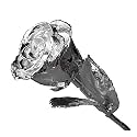 Silver Rose 18 Dipped In Silver (18 Inch)
