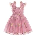 IMEKIS Toddler Kids Girls Butterfly Dress Sparkle Sequins Tulle Wedding Formal Birthday Dresses 2-10T