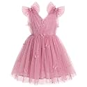 IMEKIS Toddler Kids Girls Butterfly Dress Sparkle Sequins Tulle Wedding Formal Birthday Dresses 2-10T