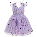 IMEKIS Toddler Kids Girls Butterfly Dress Sparkle Sequins Tulle Wedding Formal Birthday Dresses 2-10T
